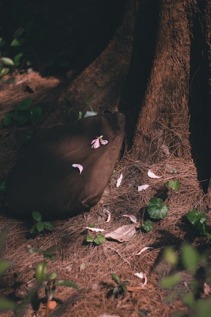 A black duffle bag placed on a bed of pine needles and surrounded by small green plants at the base of a large tree trunk. The bag appears to be used for packing or transporting items, possibly related to home relocation or moving activities. The scene is outdoors with natural lighting, demonstrating a setting that may be part of an outdoor storage or staging area during a furniture transport or moving process. The image highlights the practical aspects of packing materials and the natural environment where some packing or loading tasks could be temporarily staged, aligning with themes of furniture transport and home removals. Tooting Movers, a professional removal company, is associated with this context, although no direct action or equipment is visible in the scene.